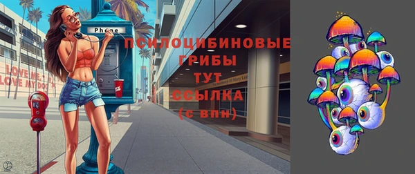 дурь Аркадак